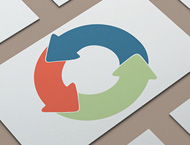 The Business Cycle