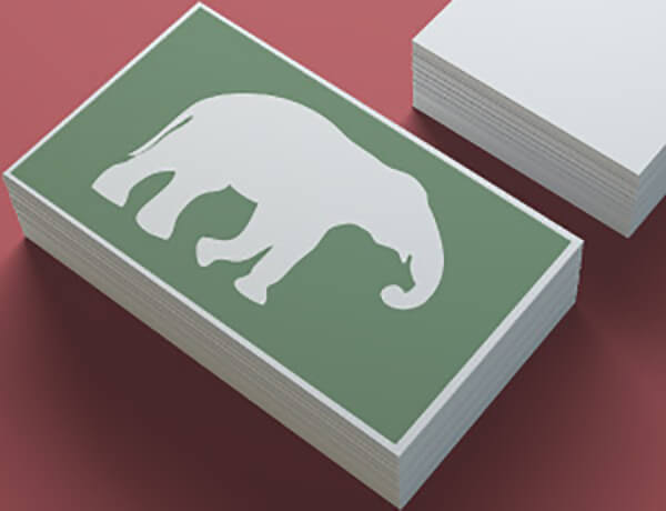 Social Security: The Elephant in the Room